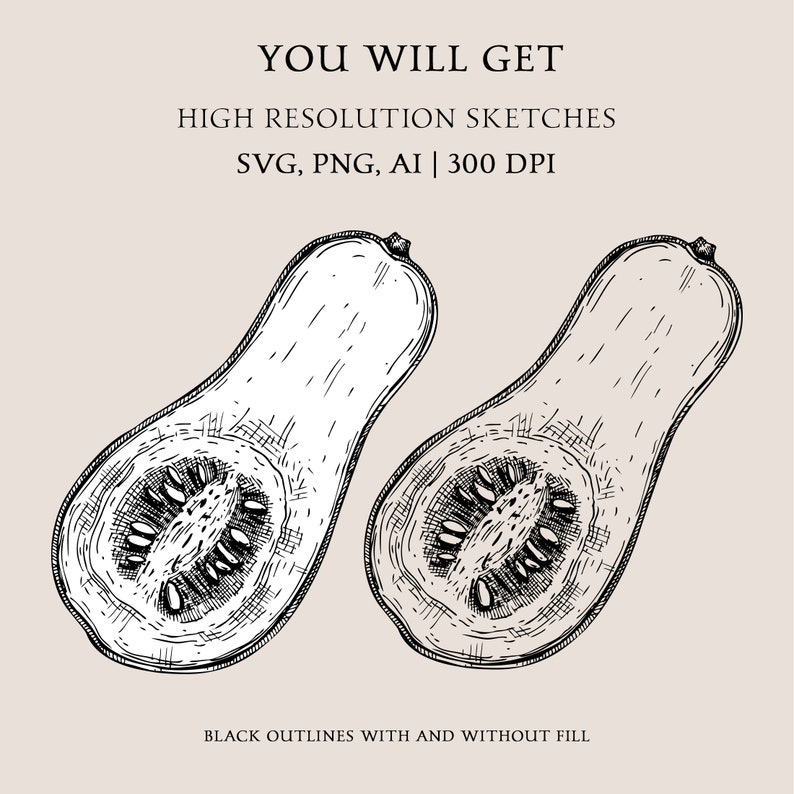 May include: Black and white line art illustration of a butternut squash, with one whole squash and one cut in half. The text "YOU WILL GET HIGH RESOLUTION SKETCHES SVG, PNG, AI | 300 DPI BLACK OUTLINES WITH AND WITHOUT FILL" is at the top of the image.