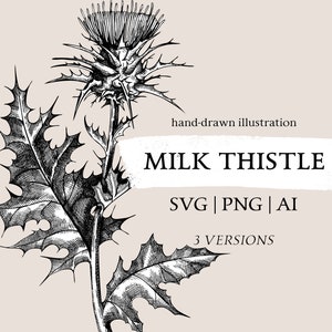 Mariendistel-Skizze. Distel floral Clipart. Handgezeichneter Hexenkräuterdruck. Hochzeit Stempel, Hochzeitsplaner, botanische Wandkunst, Sommer Dekor.