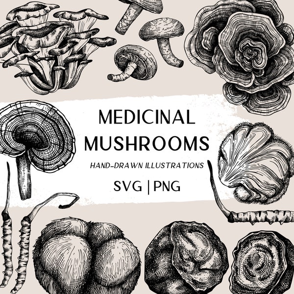 Medicinal Mushroom SVG Files, Magic Mushroom, Sketch Herbs PNG, Hand Drawn Clip Art, Medicinal Plant PNG, Natural Medicine Engraving Designs