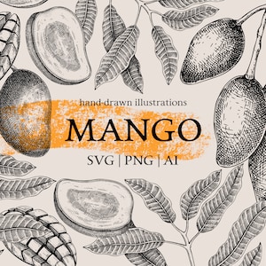 May include: Black and white hand-drawn illustrations of mangoes, leaves, and a mango pit. The text "hand-drawn illustrations MANGO SVG | PNG | AI" is in the center of the image.
