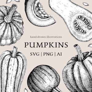 May include: Hand-drawn illustrations of various pumpkins in black and white. The text "hand-drawn illustrations PUMPKINS SVG | PNG | AI" is displayed in the center of the image.