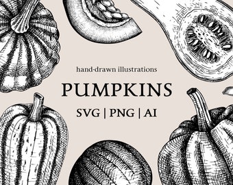 Pumpkin SVG Thanksgiving PNG, Botanical Print Vintage Artwork, Autumn Clipart, Fall Decor Engraving File, Halloween Printable Food Graphics