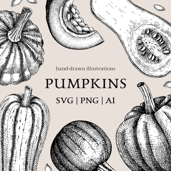 Pumpkin SVG Thanksgiving PNG, Botanical Print Vintage Artwork, Autumn Clipart, Fall Decor Engraving File, Halloween Printable Food Graphics