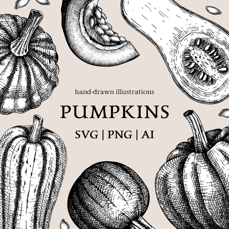 May include: Hand-drawn illustrations of various pumpkins in black and white. The text "hand-drawn illustrations PUMPKINS SVG | PNG | AI" is displayed in the center of the image.
