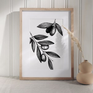 Pode incluir: Impress&atilde;o em preto e branco de arte de linha de ramos de oliveira com azeitonas sobre um fundo branco em uma moldura de madeira.