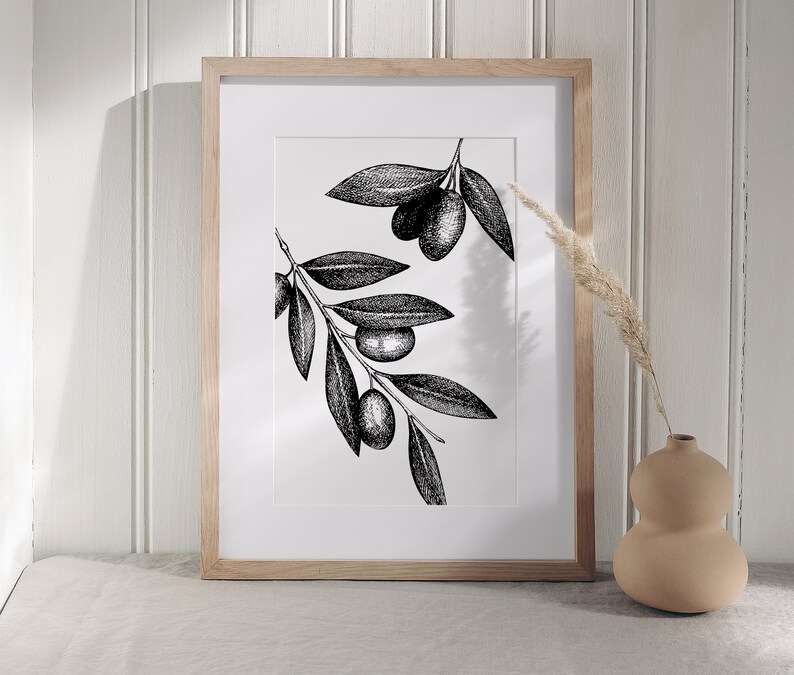 Pode incluir: Impress&atilde;o em preto e branco de arte de linha de ramos de oliveira com azeitonas sobre um fundo branco em uma moldura de madeira.