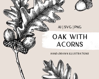 Fall leaves sketch. Acorn decor. Oak leaf. Tree cilpart. Autumn vector art. Botanical print, wedding invite, label stickers, fall home decor