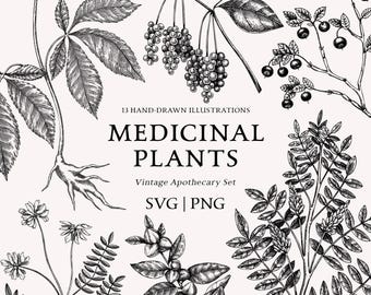 Medicinal Plants SVG Bundle - Hand-Drawn Vintage Apothecary Botanicals