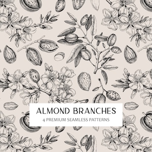 PNG di rami di mandorlo senza cuciture, illustrazione di frutta, carta digitale floreale, schizzo di fiori vintage, trama senza cuciture, decorazioni primaverili