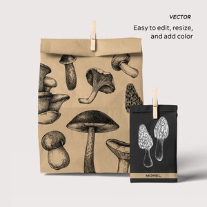 May include: A brown paper bag with a black and white illustration of various mushrooms. The bag is folded over at the top and has a clothes peg holding it closed. The bag is sitting on a white surface. The text "MOREL" is printed on a black tag attached to the bag.