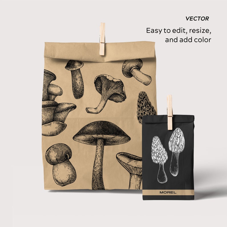 May include: A brown paper bag with a black and white illustration of various mushrooms. The bag is folded over at the top and has a clothes peg holding it closed. The bag is sitting on a white surface. The text "MOREL" is printed on a black tag attached to the bag.