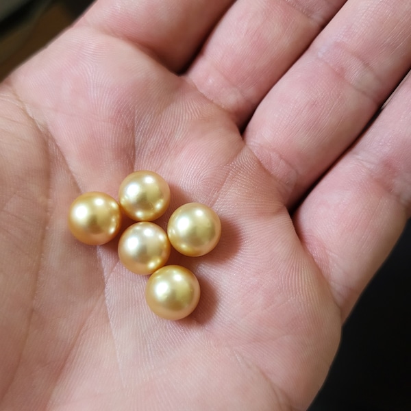 Perles dorées des mers du Sud. 100% naturel. livraison internationale!!