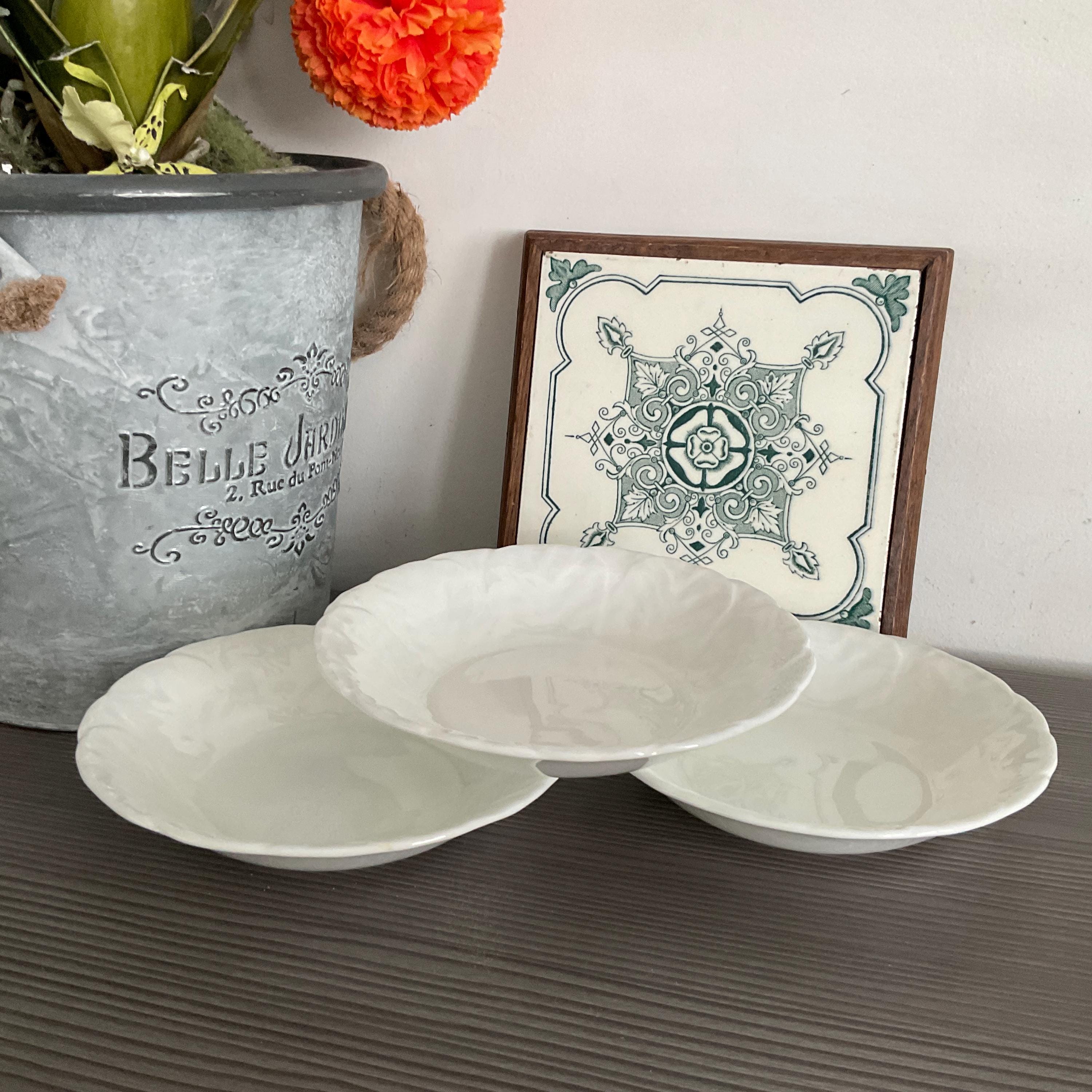 Wedgwood Cabbage - Etsy
