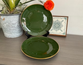 1 x APILCO Dinner Plate ,24cm Large Green and Gold Bistro Ware Plate, French Crockery, With Makers LOGO 3 Available