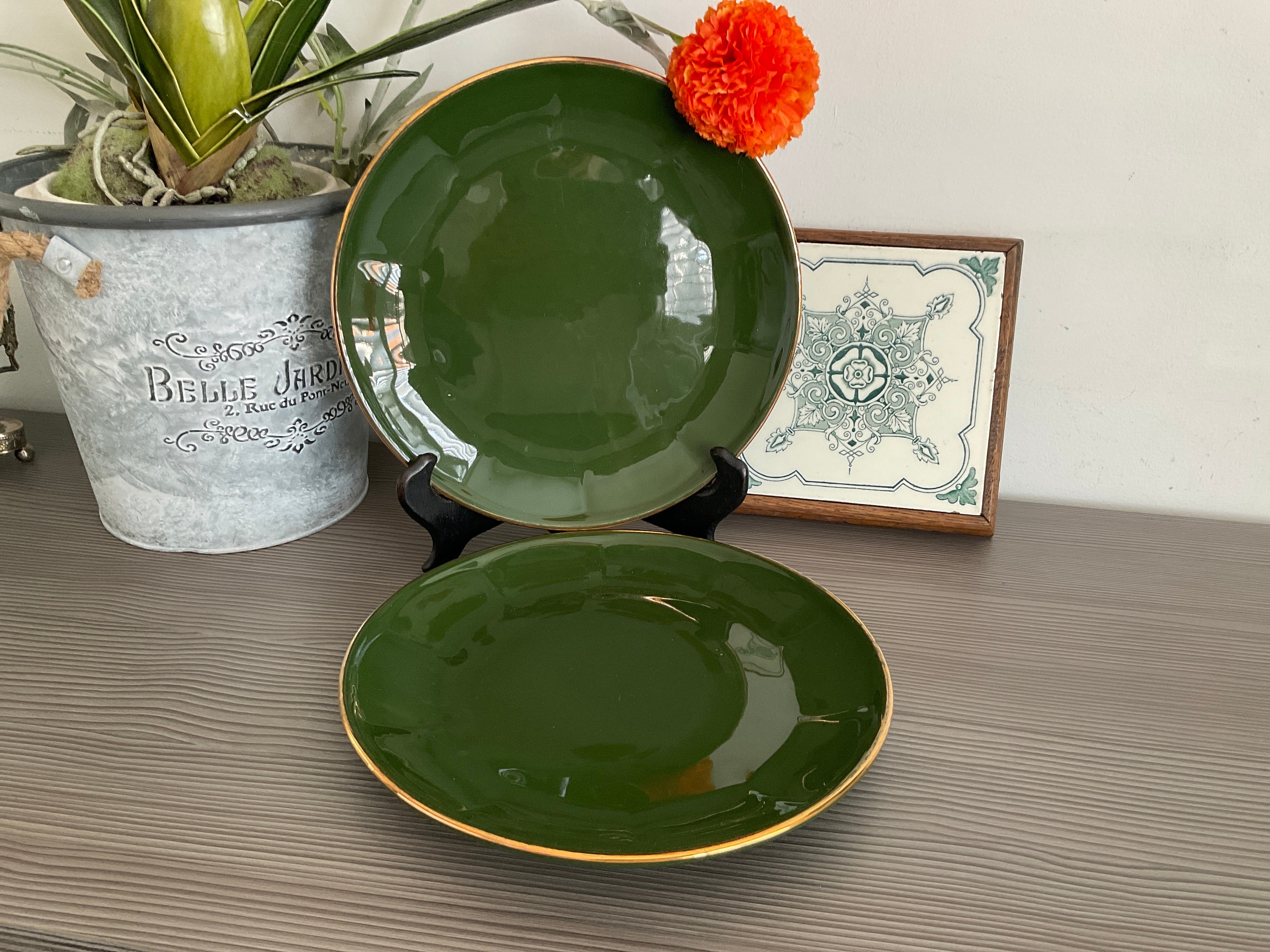 Apilco Green Gold Bistro Dinner Plate French Cafe Crockery - Main Image