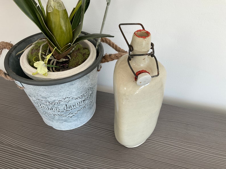 May include: A white ceramic bottle with a metal wire closure and a white ceramic stopper. The bottle is sitting on a grey wooden surface. A potted plant with green leaves and white flowers is in the background.