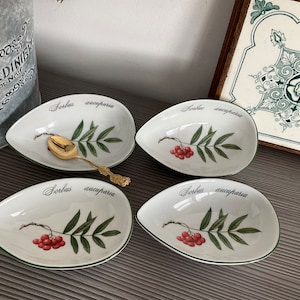 Apilco Elysian Garden Collection, French Porcelaine Avocado Dishes, Designed by Ronald Van Ruyckevelt