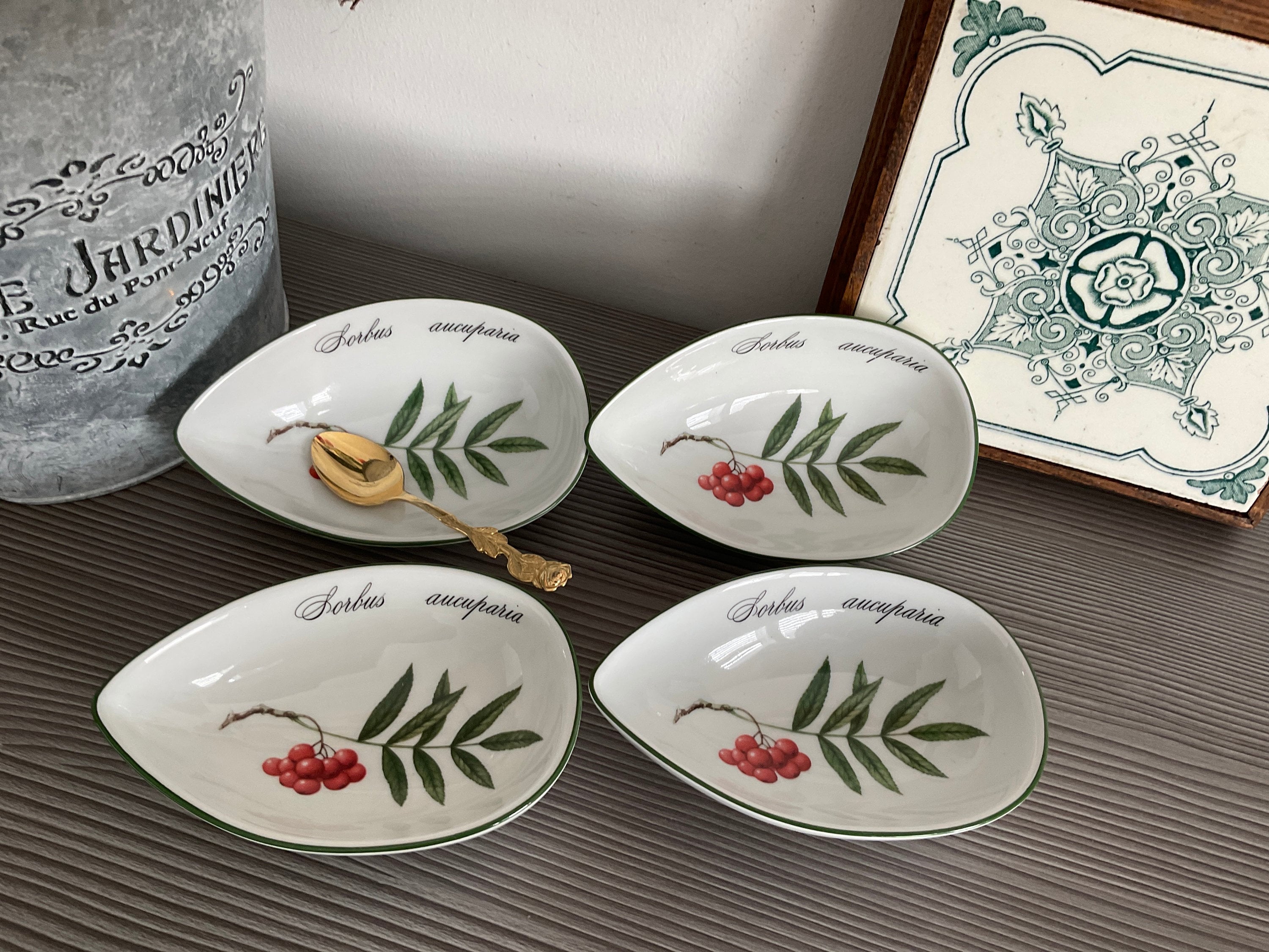 Apilco Elysian Garden コレクション、フランス製磁器製アボカド