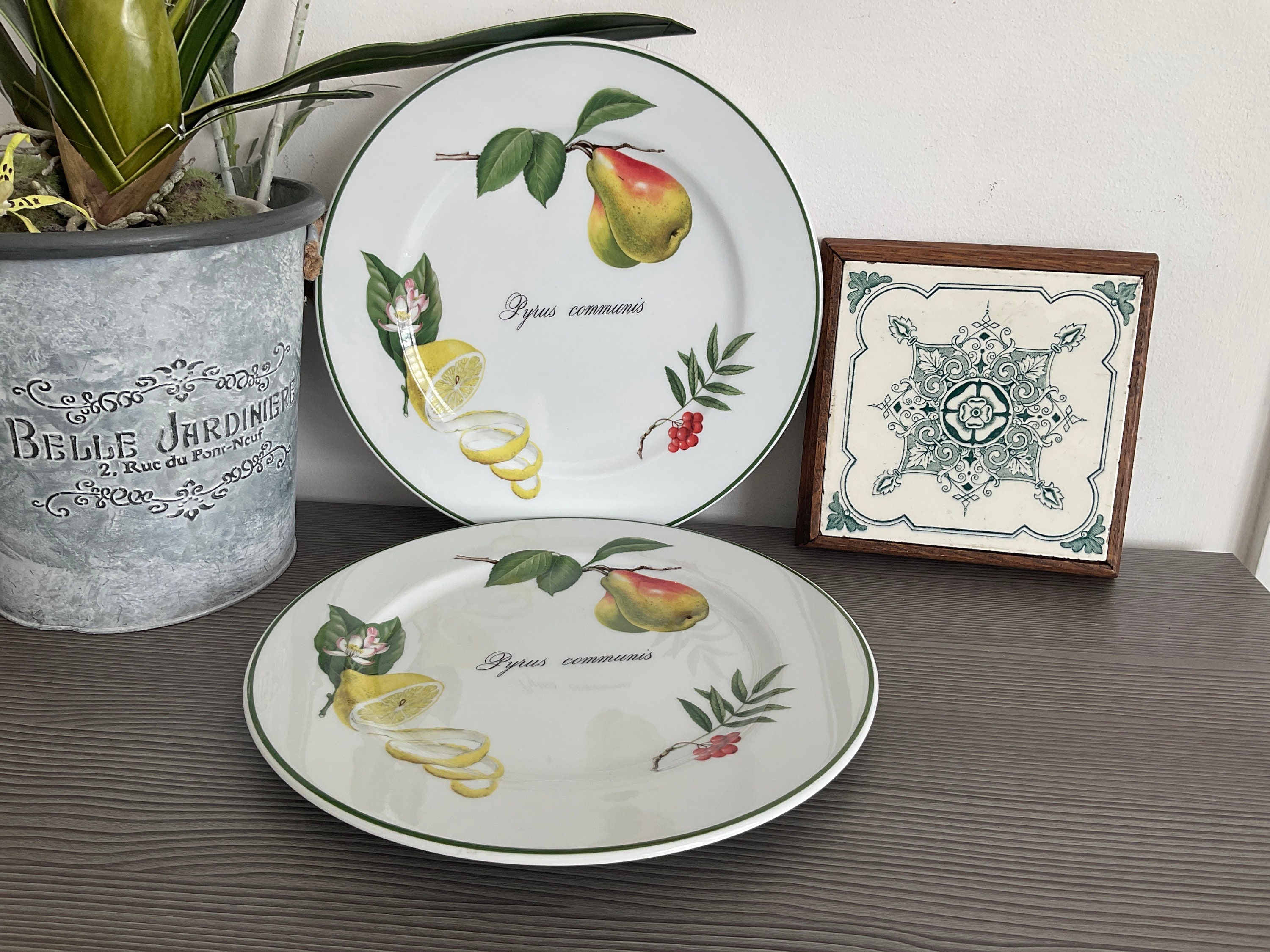Apilco plates cheap