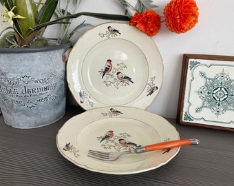 Vintage French ST AMAND 10” Hollow Plates, CERANORD Dishes, Bird Design