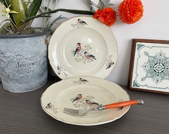Vintage französische ST AMAND 10 ”Hohlteller, CERANORD-Geschirr, Vogeldesign