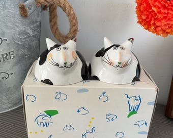 Villeroy & Boch Animal Park 'mickey and Stevie' Cats Cruet Set