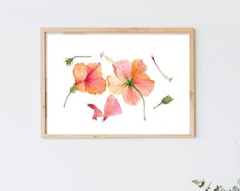 Watercolor Hibiscus Flower, Hibiscus Painting, Pink Peach Hibiscus, Hibiscus Printable, Tropical Hibiscus Flower, Handmade Gift, Wall Art