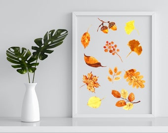 Aquarel Fall Leaves, Autumn Vibes Printable, Falling Leaves Wall Art, Fall Elements and Leaves Bundle, Elf PNG fall Leaf Bundle,