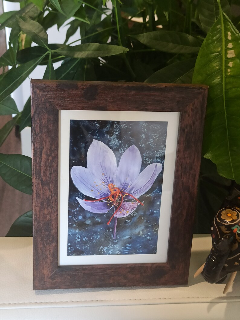 Paarse krokus, aquarel krokus bloemen, Kasjmir saffraan, botanische Himalaya bloem, digitale download, kunst aan de muur, decor van het huis afbeelding 4