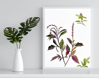 Tulsi Indian Printable, Holy Basil Botanical painting, Plant Lover Gift,  Watercolor Herb print, Black Basil Wall Art,  Medicinal Plants