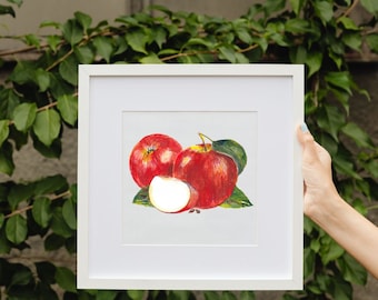 Red apple wallart, Watercolor Fruit printable, Apple Still Life, Apple Drawing,  Apple Digital Print, Apple Fruit painting, Healthy Fruit