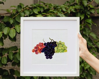 Purple Grapes Still Life Painting, Grapes watercolor, Grapes Digital Download, Purple Fruits, Grape Printable Download, Grape Fruit Painting