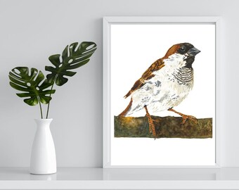 Watercolor House Sparrow,  Digital Download, Peaceful House Sparrow Watercolor Printable, Nature-Inspired House Sparrow Digital Printable