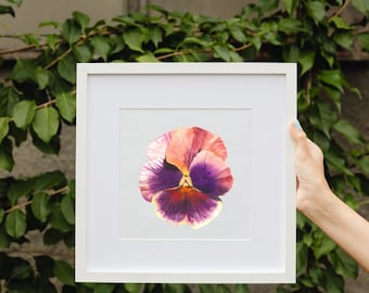 Pink Pansy, Watercolor Pansy, Botanical Pansy Flower, Floral Digital Art, Spring Flower Wall Print, Unique Wall Decor