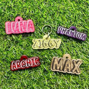 Custom Personalised Name Pet Tag - S002