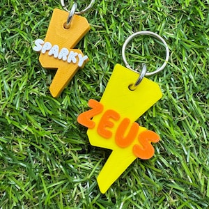 Custom Personalised Lightning Pet ID Tag