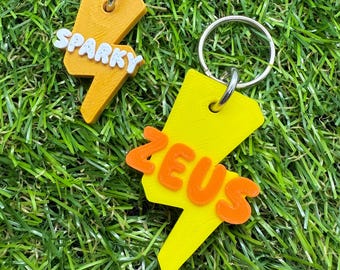 Custom Personalised Lightning Pet ID Tag