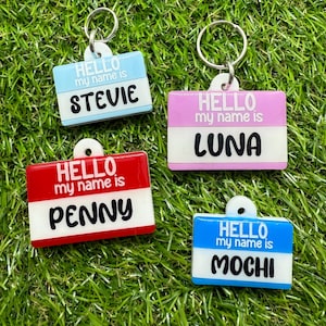 Custom Hello My Name Is Pet Tag