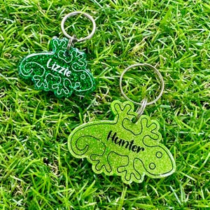 May include: Two green glitter lizard-shaped pet ID tags with key rings. The tag on the left says "Lizzie" and the tag on the right says "Hunter".