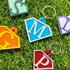 Etiqueta de identificación para mascota personalizada con letras de superhéroe - V1