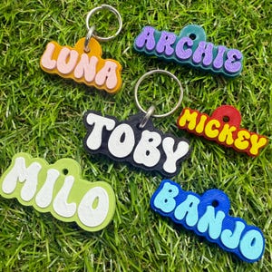May include: A selection of vibrant name keyrings, including "Lona", "Archie", "Toby", "Mickey", "Milo", and "Banjo". Each keyring has a distinct colour combination and a metal ring, displayed on a bed of green grass.