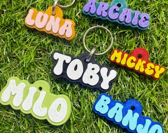 May include: A collection of colorful name keychains with names like "Lona", "Archie", "Toby", "Mickey", "Milo", and "Banjo". Each keychain features a unique color scheme and a metal keyring, set against a backdrop of green grass.