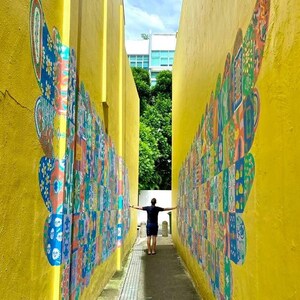 May include: A narrow alleyway with bright yellow walls and colourful mosaic murals. The murals feature geometric patterns and designs. A person stands in the middle of the alleyway, facing the camera with arms outstretched.