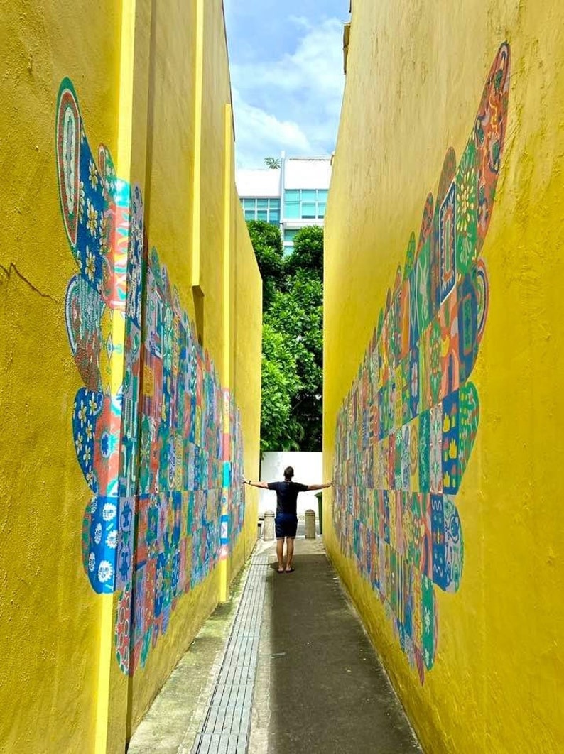 May include: A narrow alleyway with bright yellow walls and colorful mosaic murals. The murals feature geometric patterns and designs. A person stands in the middle of the alleyway, facing the camera with arms outstretched.