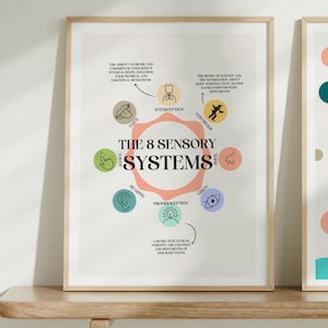 May include: Two framed prints on a wooden shelf. The print on the left is a diagram of the 8 sensory systems. The print on the right has a colourful background with a line drawing of a person with a heart balloon and the text "Progress is not linear".
