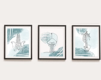 Spinal Anatomy Watercolor Art Prints, Chiropractor Office Decor (Digital Download)