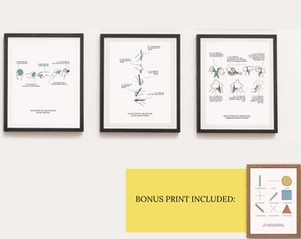 OT Developmental Milestones Poster, Fine Motor Skills (PDF)