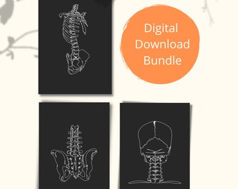 Paquete de láminas con ilustraciones de la columna vertebral, regalo para quiroprácticos y fisioterapeutas (descarga digital)
