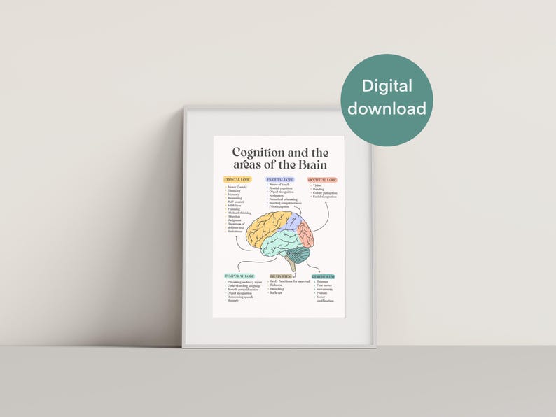 Brain Gift Neurology Occupational Therapy Speech Pathology Gift ...