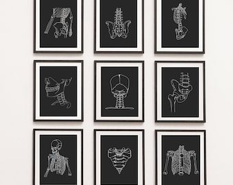 Anatomy Print Set, Spine & Pelvis, Clinic Decor (Digital Download)